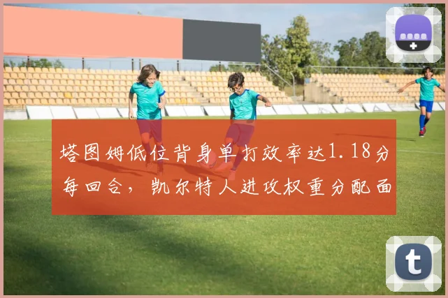 塔图姆低位背身单打效率达1.18分每回合，凯尔特人进攻权重分配面临甜蜜烦恼