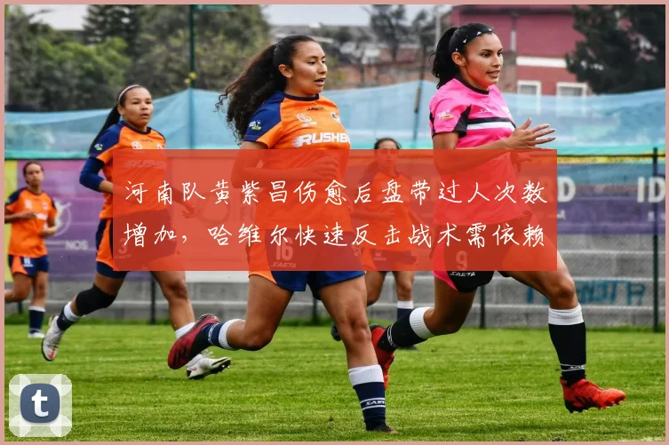 河南队黄紫昌伤愈后盘带过人次数增加,哈维尔快速反击战术需依赖其爆点